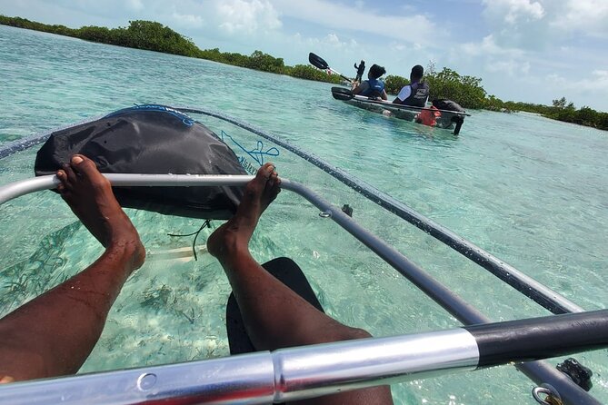 Clear Kayak Mangrove Eco Tour - Is $240 Good Value for Two People?