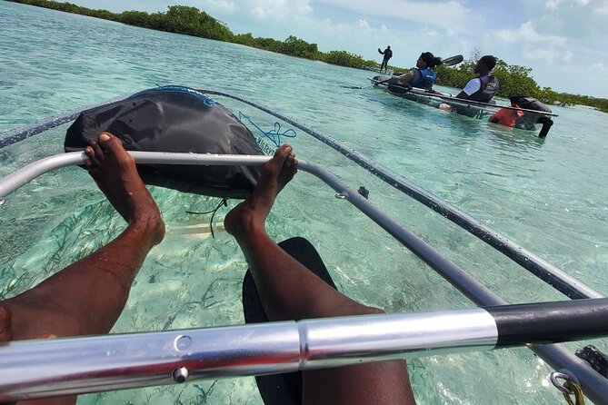 Clear Kayak Mangrove Eco Tour - Pickup, Timing, and the Two-Hour Schedule
