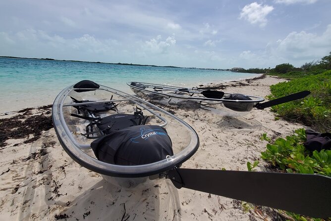 Clear Kayak Mangrove Eco Tour - Weather and Equipment Matter Here
