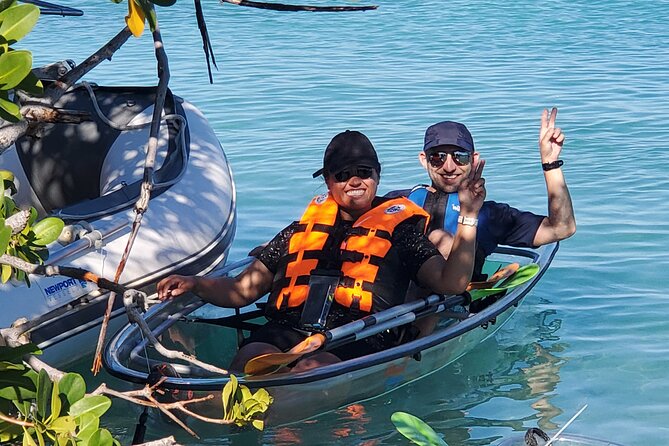 Clear Kayak Tour in Turks & Caicos Islands - What the clear kayak changes