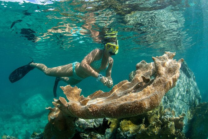 Deluxe Half-Day Snorkel Sail on Lady Grace Luxury Catamaran - Iguana Island and the quiet beach stop
