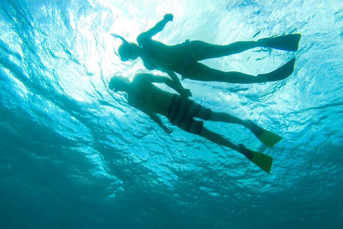 Deluxe Half-Day Snorkel Sail on Lady Grace Luxury Catamaran - Who will enjoy Lady Grace most