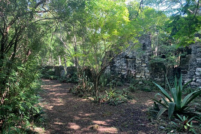 Discovery Tour and Treasure Hunt ( North and Middle Caicos) - Conch Bar Caves are fascinating and physically demanding