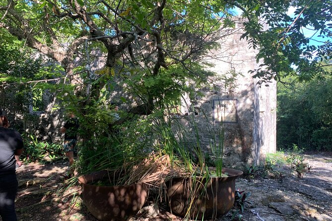 Discovery Tour and Treasure Hunt ( North and Middle Caicos) - Wade’s plantation adds context, but confirm the day’s plan