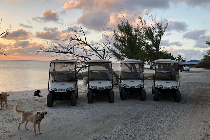 Drive GDT - Golf Cart Rentals - What the $110 price really buys you