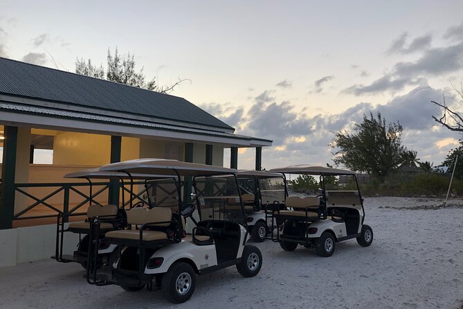 Drive GDT - Golf Cart Rentals - Who will enjoy this rental most