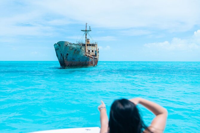 Full day 7hours- beach bbq, snorkel, Iguana island, half moon bay pine cay, Fun! - Dolphin watching without a guarantee