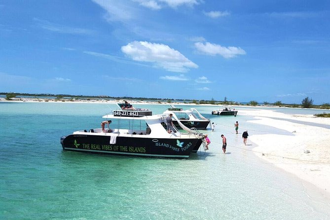 Full Day Beach BBQ Lunch & Snorkeling Excursion in Grace Bay - Slide, diving board, and the ride home