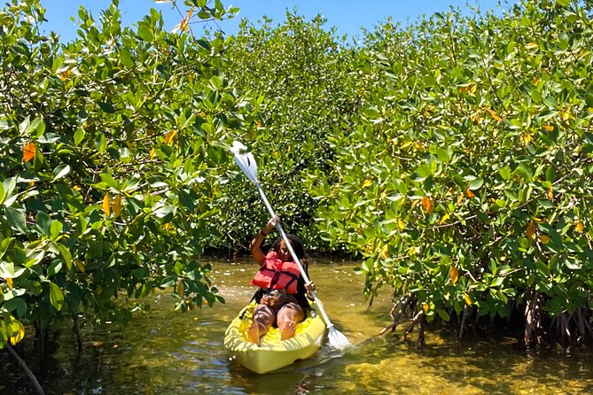Full Day Clear Kayak Rental Grand Turk - Reaching the mangroves requires a clear plan