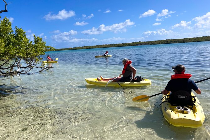 Full Day Clear Kayak Rental Grand Turk - Wildlife and the value of a slower pace