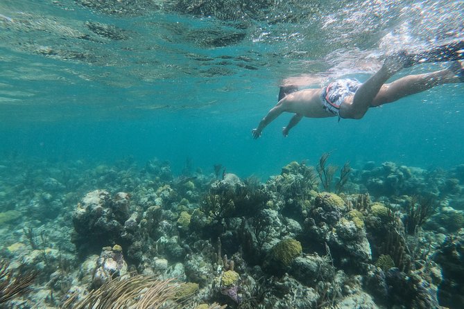 Full Day Cruise from Providenciales with Snorkeling and BBQ Lunch - Caicos Banks and the open water between islands