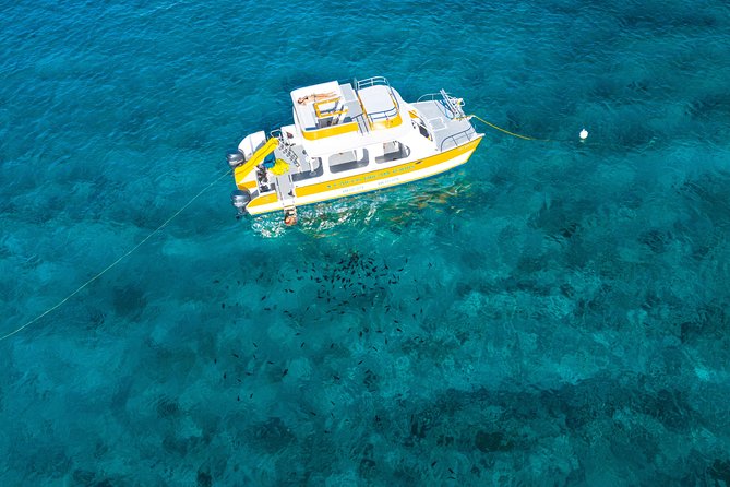 Full Day Private Boat Charter at Grace Bay, Providenciales - What the crew adds to a private charter