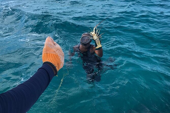 Full-Day Private Cruise in Turks and Caicos with Lunch - Fort George Cay, sand dollars, and the beach barbecue