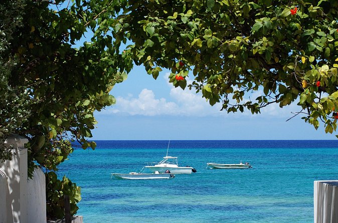 Grand Turk Historical Sightseeing Tour by Tram - Why this $25 tram tour works well on Grand Turk
