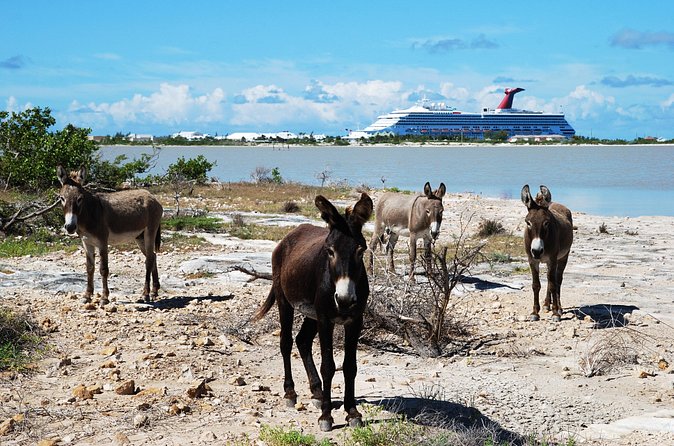 Grand Turk Historical Sightseeing Tour by Tram - The ride south to north, with the island in view