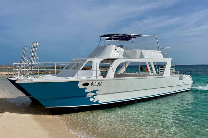 Grand Turk: Whale Watching - What the $200 price means