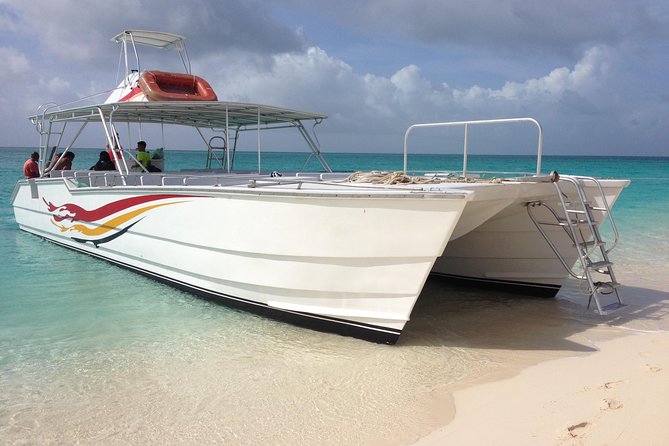 Grand Turk: Whale Watching - Weather and the wild-animal factor