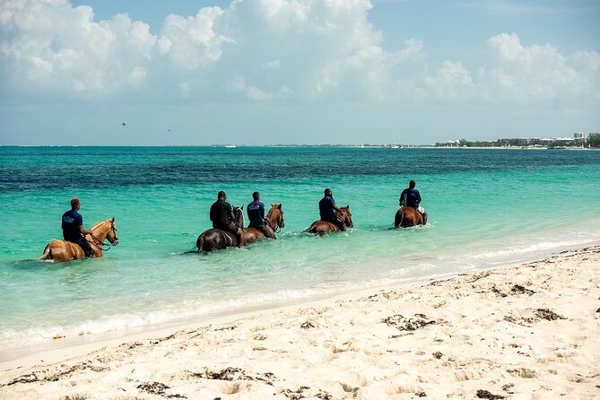 Group Beach and Ocean Horseback Adventure in Providenciales - Riding straight from the beach in Providenciales