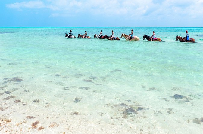 Group Beach and Ocean Horseback Adventure in Providenciales - Entering the clear water with your horse