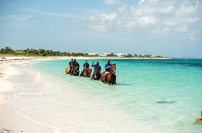 Group Beach and Ocean Horseback Adventure in Providenciales - Guides, photos, water, and the small extras