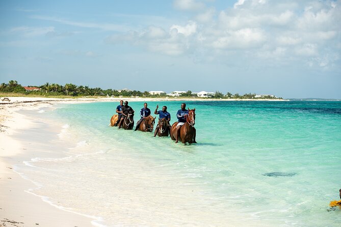 Group Beach and Ocean Horseback Adventure in Providenciales - What the $254 price really buys you