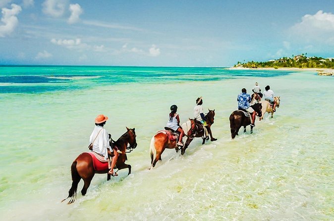 Group Beach and Ocean Horseback Adventure in Providenciales - Who should book this Providenciales ride