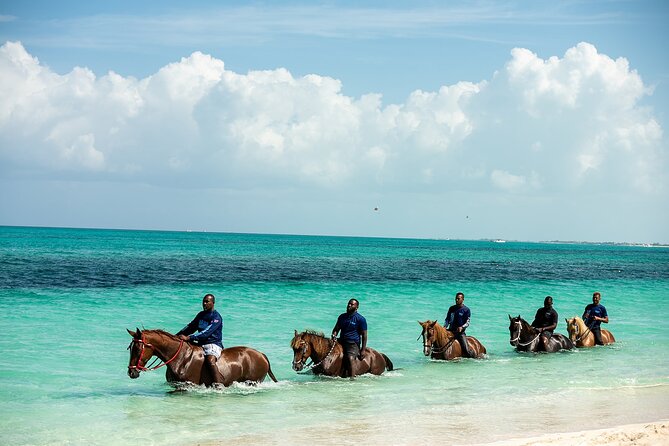 Group Beach and Ocean Horseback Adventure in Providenciales - Practical preparation for Bay Road