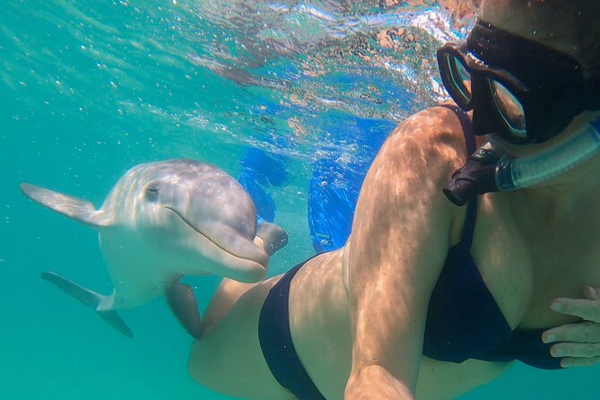 Group Reef, Beach and Sandbar Tour from Providenciales - Half Moon Bay and Iguana Island