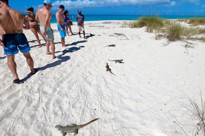 Group Reef, Beach and Sandbar Tour from Providenciales - Lunch, rum punch, and the ride home