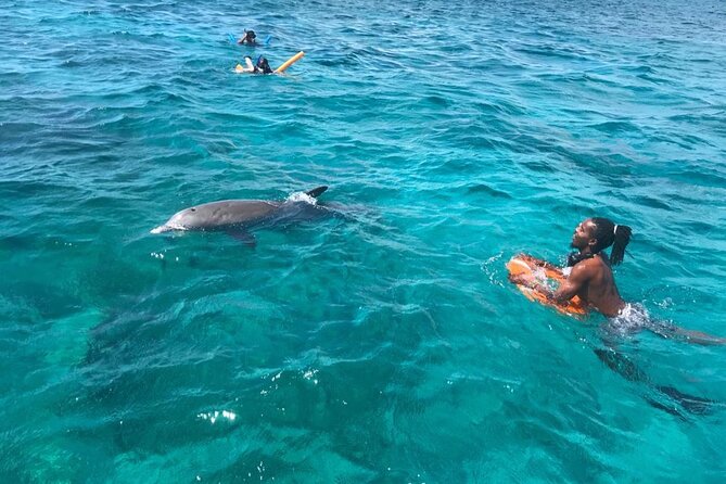 Group Reef, Beach and Sandbar Tour from Providenciales - Is $145.84 a fair price?