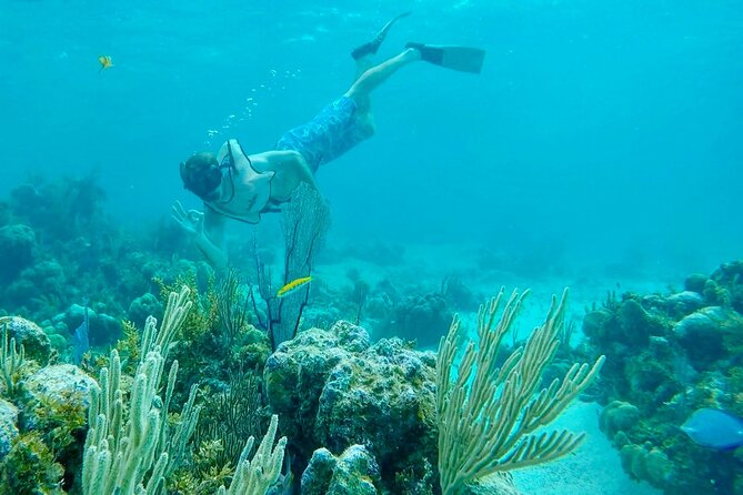 Group Reef, Beach and Sandbar Tour from Providenciales - Who will enjoy this tour most?