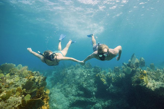 Half Day Private Boat Charter at Grace Bay, Providenciales - Four hours between Grace Bay and the barrier reef