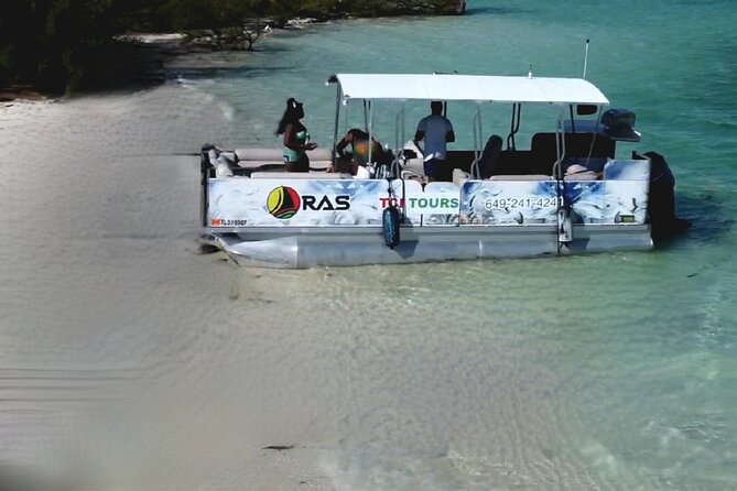 Half Day Private Charters in Iguana Island for 8pax - Sand dollars and open time at Half Moon Bay