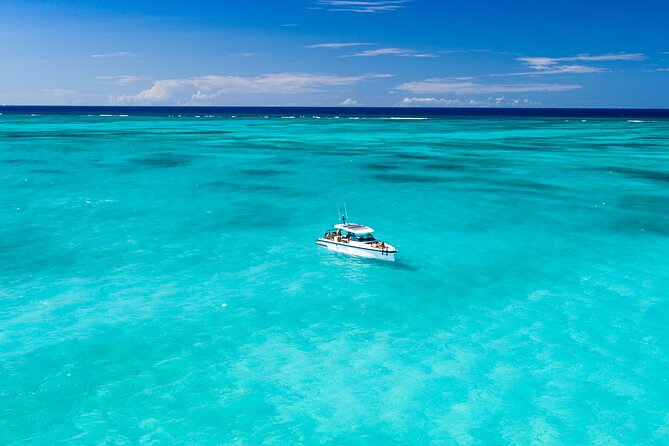 Half Day Private Luxury Axopar Charter in Turks & Caicos - Snorkeling and beach time in Grace Bay