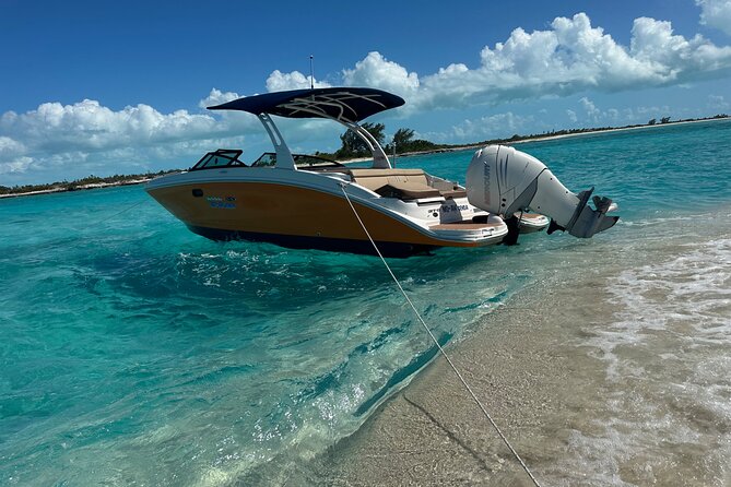 Half Day Private Sun and Snorkel exploring the Turks and Caicos - Iguana Island and the local character of the route