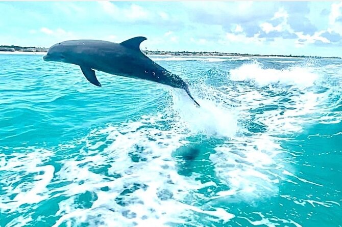 Half Day Snorkel from Providenciales with Visit to Half Moon Bay - Leeward Reef: the main snorkeling stop