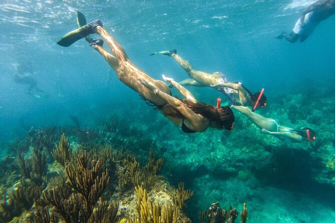 Half Day Snorkel from Providenciales with Visit to Half Moon Bay - The slide, swimming, and mangrove-side fun