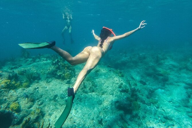Half Day Snorkel from Providenciales with Visit to Half Moon Bay - Half Moon Bay and the walk across the sandbar