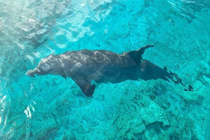 Half Day Snorkeling, Sightseeing & Island Hopping Private Charter - Is $1,600 a good value?