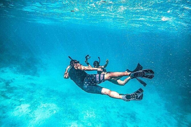 Half Day Snorkeling, Sightseeing & Island Hopping Private Charter (Afternoon) - Little Water Cay and the Iguana Island stop