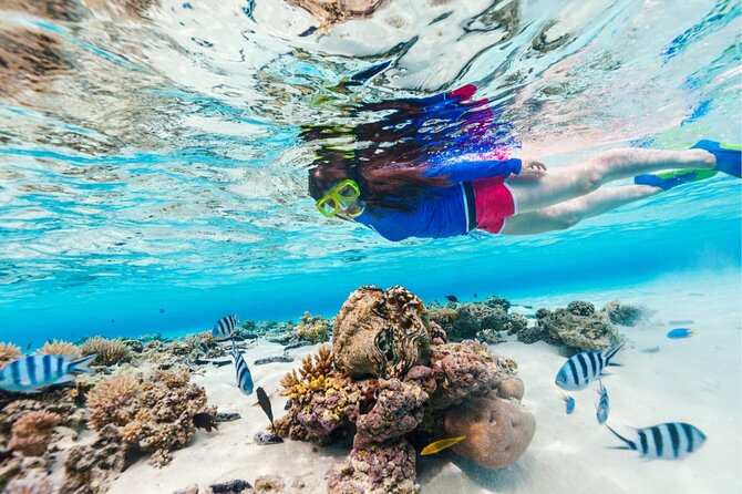 Half Moon Bay Jet Ski Tour & Snorkeling the La Famille Shipwreck - Half Moon Bay between two uninhabited islands