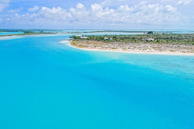 Island Hopper Adventure in Providenciales - The Conch Farm gives the ride local context