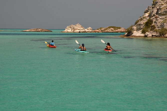 Kayak Eco Tour - Four Hours Among Turtles, Sharks, and Iguanas