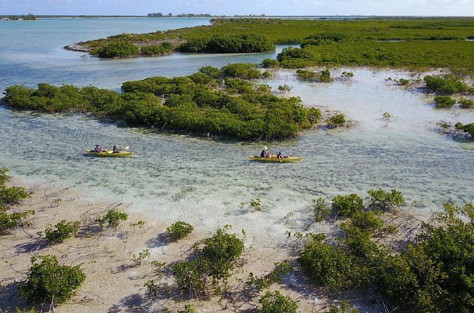 Kayak Eco Tour - From Kayak to Quiet Beach