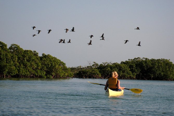 Kayak Eco Tour - Is $296 a Fair Price?