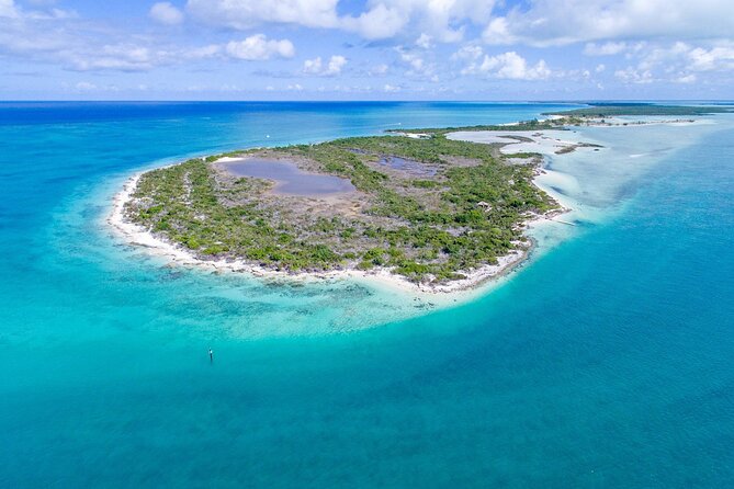 Mangrove Cay and Iguana Island Tours - Key points to know before you book