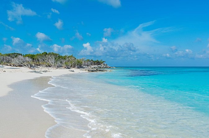 Mangrove Cay and Iguana Island Tours - Wildlife depends on timing, patience, and a good guide