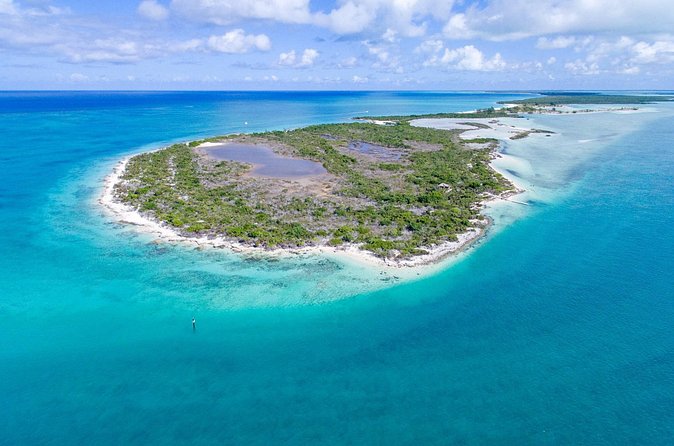Mangrove Cay and Iguana Island Tours - The pace, group size, and shared water