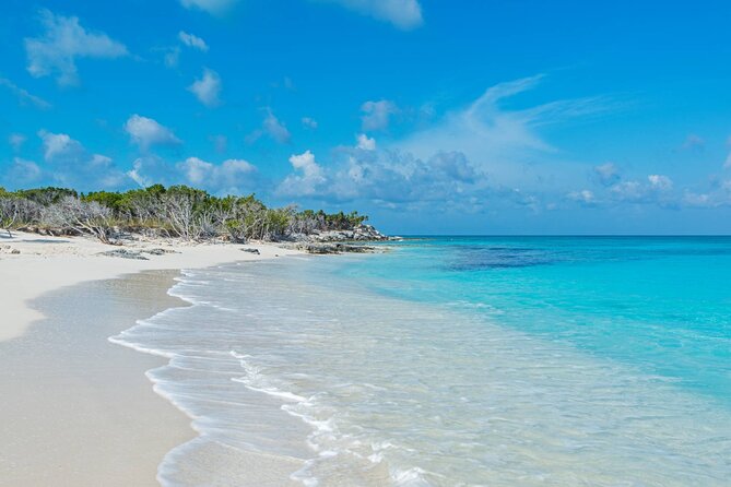 Mangrove Cay and Iguana Island Tours - What the $150 price includes in practical terms
