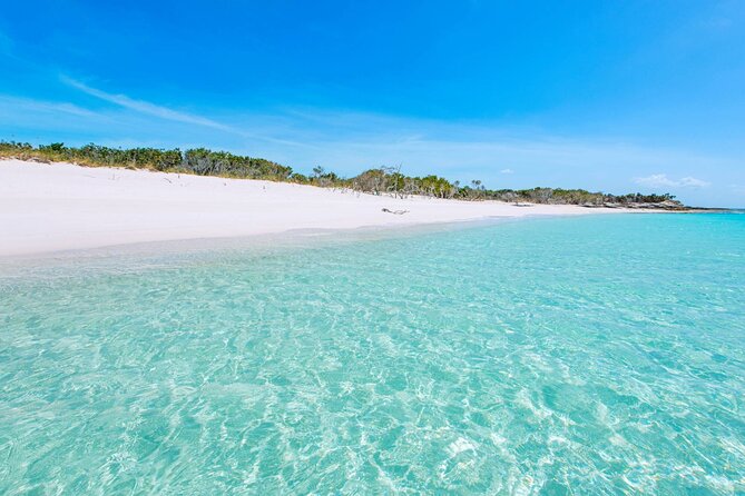 Mangrove Cay and Iguana Island Tours - Should you book Mangrove Cay and Iguana Island?